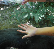 Load image into Gallery viewer, Dorothy's Doggy Dry Shampoo