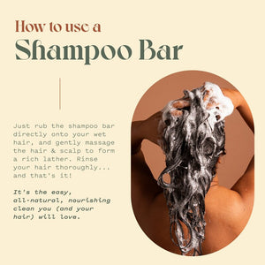 Dry/ Curly Shampoo + Conditioner Bar