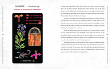 Load image into Gallery viewer, Dirt Gems: Plant Oracle Deck and Guidebook
