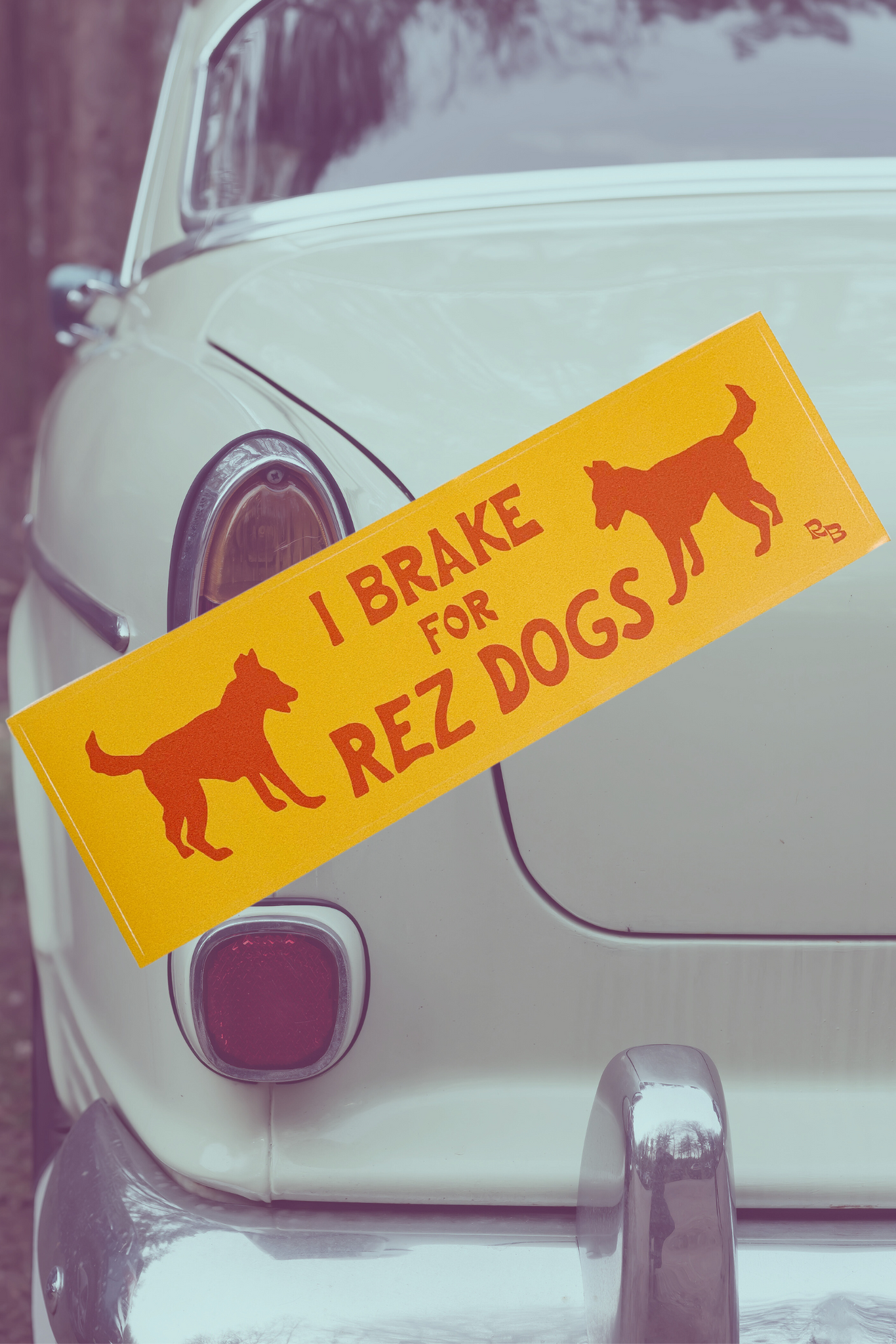 I Brake For Sinkholes Bumper Sticker - 10x3 Inch Vinyl Decal, Funny Car Sticker, Waterproof & Sun Resistant