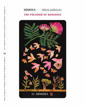 Load image into Gallery viewer, Dirt Gems: Plant Oracle Deck and Guidebook

