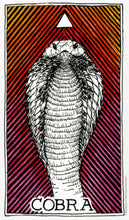 Load image into Gallery viewer, Wild Unknown Animal Spirit Deck and Guidebook
