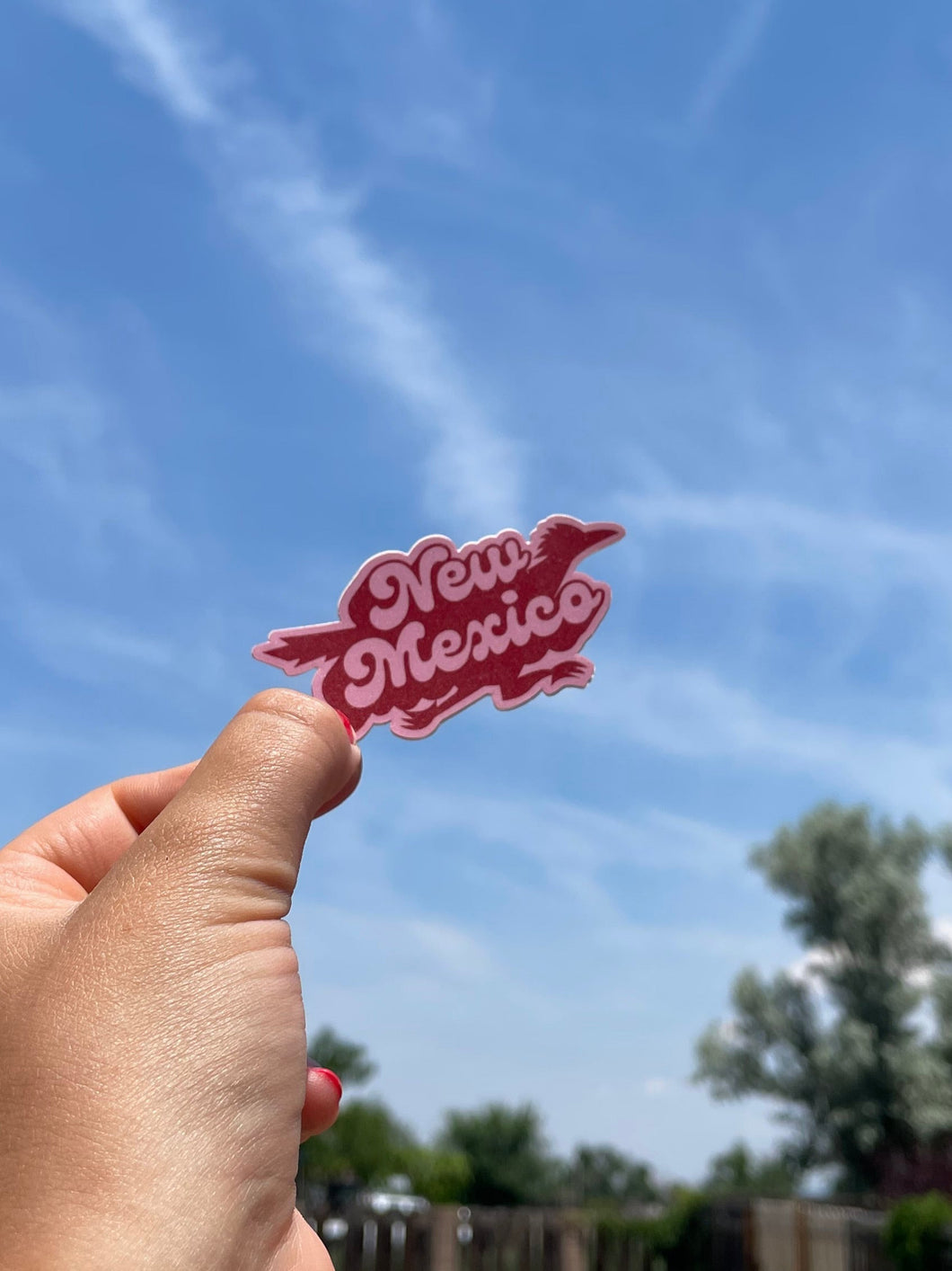 Pink & Red Roadrunner Sticker