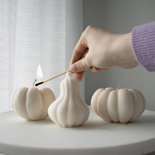 Load image into Gallery viewer, Pumpkin &amp; Squash Candles
