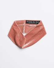 Load image into Gallery viewer, La Vie En Rose Velvet Headband

